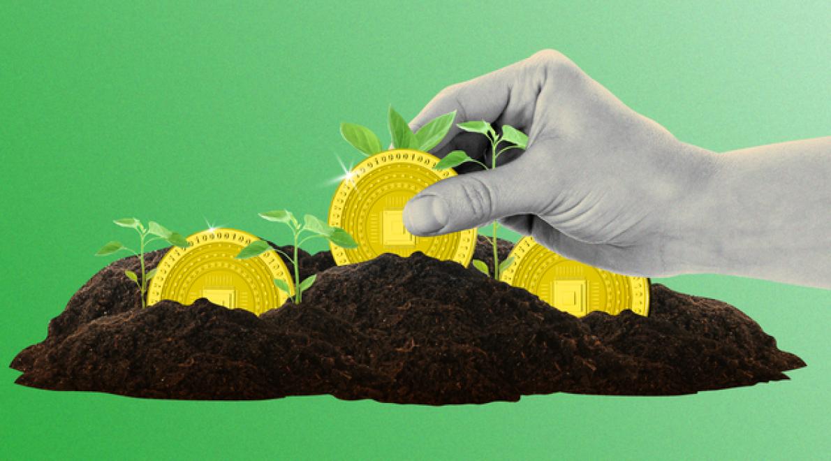 Staking vs Crypto Loans: The P